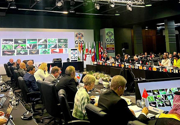  «Сочинский диалог» был представлен на площадке G20 в ЮАР